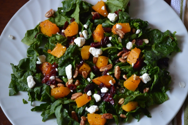 Roasted Butternut Squash and Cranberry Salad Close up