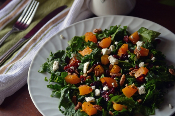 Roasted Butternut Squash and cranberry salad side angle
